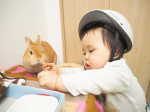 🐰弟ちゃん、なにかぶってるの〜？🍀✨*息子ちゃんのファーストヘルメット🤗❤️@ides_official さんのキャッピープチ(Cappy petit)💕220グラムとめっちゃ軽いんで&hellip;のInstagram画像