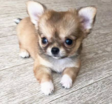 あたりますよーに♡