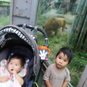 「子どもの顔」【第2弾！】＼こども歯磨きモニター募集／お子様の動画や写真がが商品PRに⁉ブリアン本品【20名様】の投稿画像