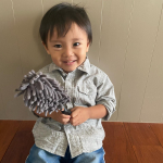 ＝＝＝＝＝＝＝＝＝＝＝＝＝＝＝＝＝..発表会前で仕事が多すぎててんやわんや。。。..毎日があっという間に過ぎていきます⍤⃝𓈒 𓏸 𓐍..末っ子が持っているのは、@rinrei_&hellip;のInstagram画像