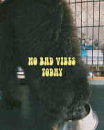 免疫ミルクのモニターをやらせていただきました🍼🙌🏾見ての通りロス大喜び❤️❤️一応まだ8ヶ月だしミルクもまだまだ好きだろうなあ🥰2週間試してみたら毎日うんぴ💩がすごく健康なかんじが&hellip;のInstagram画像