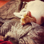 #プラソニエ #アクア毛穴クリーン #美顔器 #毛穴 #スキンケア #乾燥 #monipla #pourasoigne_fanのInstagram画像