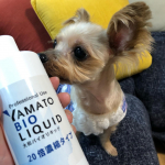 .株式会社大和バイオリキッド様にご提供いただきました✨「バイオリキッド」🐶バイオの力で掃除や消臭にはもちろん、ペットの飲み水にも使用可能😳農林水産省にも承認されてるらしく、&hellip;のInstagram画像