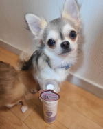 サマーズイブ　フェミニン泡ウォッシュ使ってみました！なにより泡で出るのがいい！泡立てる必要ないので肌にもやさしいです♡#サマーズイブ #デリケートゾーンケア #デリケートゾーン #黒ず&hellip;のInstagram画像