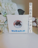 ******みんなのバッチさんのモニターをさせて頂くことになりました。どんな缶バッチをつくろうかと息子と相談した結果、母と子で声が揃いました。「ハムタン！！」と。１&hellip;のInstagram画像