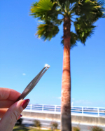 こんばんは☺.年末が近づいてきましたね。換気扇の掃除を業者に依頼しようと、あるサイトから良さげな業者に連絡しました。第2希望日まで入力し、その後業者からメールがくる形式で、11月の&hellip;のInstagram画像