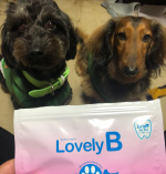 ウィステリア製薬会社さんから、ラブリービー(🐕🐱用)が届いたよ(&acute;&epsilon;｀ )&hearts;部屋が汚れてるので&hellip;😅笑犬がたくさんいるとなかなか撮らせてくれないが、ラブはおっとり系だからとれ&hellip;のInstagram画像