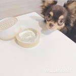.みんな僕のこと覚えてた？🐶💗飼い主最近忙しいからストーリーしか更新してへんかってん😫😫💦\\ 飼い主の美容液成分たっぷり洗顔 //メトラッセ ジュエリーソープジュエリ&hellip;のInstagram画像