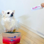 #lovelyb_wisteria #ラブリービー #犬の口腔ケア #monipla #wisteria_fanウィステリア製薬会社さんから、ラブリービーのモニターに当選！いつものご飯にかける&hellip;のInstagram画像
