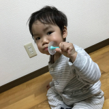 よろしくお願いいたします