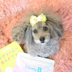 最近パートナーに口が臭いって言われるから口臭ケア始めたよ🤗ラブリービーって言って、なんとお口とお腹のケアが同時にできちゃう優れもの🤭💕１袋３０包入ってて、中身は白い粉だよ✨無味無臭なは&hellip;のInstagram画像