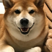 「にっこりします」【第3弾!!】＼愛犬の口臭ケアモニター募集／愛犬の動画や写真が商品PRに使用させてください。ラブリービー本品【20名様】の投稿画像