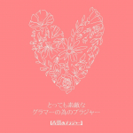 皆さんはニッセンさんをご存知でしょうか？私も下着を買う際によくお世話になってるんですけどサイズが豊富で可愛いものばかりなんですよね〜ヾ(*>&forall;<)ﾉﾞ今回はニッセンさんの高嶺のブラジャーの&hellip;のInstagram画像