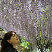 「花とローズ」【くせ毛、パサつく髪に！】高級ヘアケアグッズでサラツヤ髪になりませんか？東京都内撮影にご協力いただける30～50代の方を10名様限の投稿画像