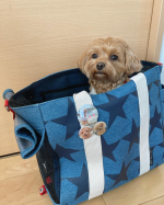 この間のお出かけ💕前回紹介させてもらった@minnano_badge 缶バッジ、マグネットが作れるアプリ「みんなのバッジ」で作成した缶バッジ❤️キャリーバッグにもつけました❣️&hellip;のInstagram画像