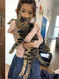 「もうすぐ6か月です」の画像（1枚目）