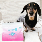 @lovelyb_wisteria さんのLovelyB(ラブリービー)を与えて本日で15日目‼️最初の3日間は1日1包でしたが3日目からは1日2包 朝晩のご飯時にフードにかけて与えました✨&hellip;のInstagram画像