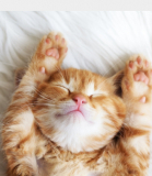 あたりますよーに