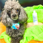 大和バイオテックさんからいただきました大和バイオリキッドです💁&zwj;♀️消臭効果のある液体とのことで説明によるとバチルス菌という善玉菌と、バチルス菌が生成したタンパク質分解酵素・界&hellip;のInstagram画像