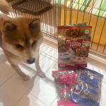 前飼い主さんが人間のご飯しか与えてなく、エサ拒否すごかったんですが！2か月かかってやっと拒否せず毎回ちゃんと食べるようになりました🤭❣️﻿﻿今回はプッチーヌ『motto motto』を食べさせ&hellip;のInstagram画像