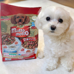 プッチーヌ motto motto ドライ 1歳から﻿小魚&times;300g 鶏ささみ&times;300g お試しさせて頂きました☺️﻿﻿ルルは小魚の方が好きみたいです( &macr;&omega;&macr; )❤️﻿﻿少し硬い&hellip;のInstagram画像