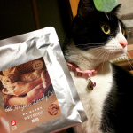 #キャットスタンス #CATSTANCE #鹿肉ウェット #ひめ鯛ウェット #キャットフード #国産無添加 #鹿肉キャットフード #monipla #imacoco_fanプロアクティブ様より&hellip;のInstagram画像