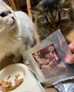 まやーとリランに美味しいウェット餌。白猫まやーは最初警戒してたけど、ちゃんと綺麗に完食してた（＾&nabla;＾）いつも餌変えたら全然食べないのに。リランは初日少し残してたけど、1週間後には高速で完食&hellip;のInstagram画像