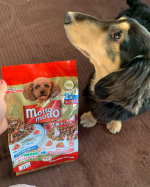 私の実家の愛するワンコ♡ミニチュアダックスの7歳です♡小さい頃から偏食 食べムラがあり、野菜とミルクは大好きなのですが、カリカリのフードはそれだけでは、ほとんど食べす毎日母が日替わりで蒸したキ&hellip;のInstagram画像