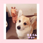 りろより。『自慢というかボクは可愛いとよく言われますー、シャンプー行くとおねえさんがカワイイ💕って言ってくれるので多分ほんとうなんだと思います。ちなみに10さい&hellip;のInstagram画像