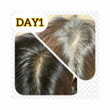 ありがとうございました