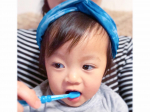 子どもの歯みがき習慣の定着に苦労中。クラプロックス の キッズ歯ブラシ を使い始めました。娘は歯ブラシを がしがし噛んですぐダメにしてしまうけれど 硬いものだと仕上げ&hellip;のInstagram画像
