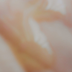 種の天然由来美容オイル ラ．メラ3ｍＬ目元のたるみ、まゆ下を軽くプッシュしてみました。目の周りに囲むようになでてみました。なぜならば、液状ラノリン、プリンセピアオイル、オリーブスクワラ&hellip;のInstagram画像