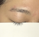 まつ毛、眉毛写真