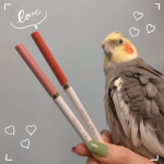 🧡💗🧡💗イベリスピメルのクリームシャドウライナー描きやすくて、めちゃくちゃ擦っても落ちません◎どちらも可愛い色味で派手すぎないので使いやすいです🙆🏻&zwj;♀️ ..#coc&hellip;のInstagram画像