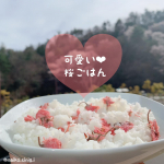 見てみてー❤︎可愛くない？桜ごはん❤︎花見にぴったりやんねー！！【海の精　桜の花塩漬け】をつかってる！いや、ほんまは刻まないとあかんかってんけど、そのまま使ってモーター！でも可愛かったし美&hellip;のInstagram画像