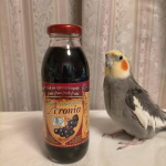 😋🍴💗全ポリフェノール、アントシアニン、抗酸化力が高いとされるクランベリーやブルーベリーより含有量を上回るアロニアのコールドプレスジュース。そのまま飲むとポリフェノールが豊富なため結構渋味を感&hellip;のInstagram画像