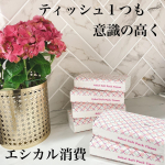 お安く賢くエシカル消費🤤🤚‼️✨#ロハっ子 おすすめ紹介💁&zwj;♀️✨@lohaco.jp .今回はパックのティッシュ💖ひと言。安いです。はい。ほんでロハコオリジナルなのでメーカー&hellip;のInstagram画像