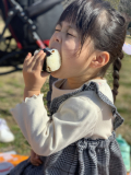 ピクニック