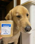 Oral care🐶🦷ワンちゃん用のお口のケアと免疫力アップのふりかけ✨いつものご飯に振りかけるだけやからお手軽でした✨そしてめっちゃ美味しかったみたいで、アダムもジョンも完食！獣医さんが&hellip;のInstagram画像