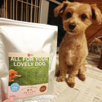 ︎︎︎︎☑︎鹿肉プロミックス/DOGSTANCE﻿﻿こんにちは。今回は【 鹿肉プロミックス/DOGSTANCE 】のポストになります。﻿﻿それでは《商品特徴》からどうぞ。﻿﻿﻿&hellip;のInstagram画像
