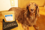♫♫.久しぶりのアモ登場🐶.ドクターグッド( u0040dog.good8211 )様の「オーラル&ヘルスケアふりかけ　おくちとめんえき」をお試しさせて頂きました🌸.ドクターグッドはあのチ&hellip;のInstagram画像
