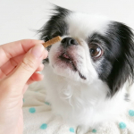 ドッグスタンス 鹿肉プロミックス食べてみたよ🐶😋①くんくん🐶🐽②いっただっきまーす！🍽️③ドッグスタンス 鹿肉プロミックス④中身はこんなかんじ⑤おっ、いいねいいね～！ド&hellip;のInstagram画像