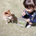 あまり食に興味のない我が家の犬も喜んで食べた餌💁&zwj;♀ 💓DOGSTANCE 鹿肉プロミックス✨﻿﻿国産野生鹿肉ドッグフードメーカーから、エイジングケアフードが新発売✨﻿﻿野生鹿肉を中心&hellip;のInstagram画像