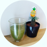 青汁デビューにも！