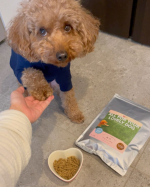 ・鹿肉ドッグフードに夢中🐶🦌🤍犬が鹿を食べるんかい&hellip;と言われたこともありますが笑最初にブリーダーさんに勧められて0歳の時から鹿肉フードが好きなルンちゃん🐶・この食いつきの良さ😳❣️&hellip;のInstagram画像