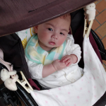 穏やかに見せる系男児🎏近所の商店街をお散歩👶このあと、ベビーカーを止めて薬局に入ると、元気すぎる泣き声で、私は揺れながら歌って抱っこする母親に変身させられる笑。母はあなたの抱っこライフ&hellip;のInstagram画像