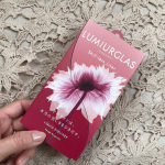 めちゃ描きやすいアイライナールミアグラス スキルレスライナー<06.ルージュバーガンディ>@lumiurglas 目元を華やかになる新色だよ♡14種類の美容液成分がたっぷり&hellip;のInstagram画像