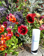 こんにちは☺.長女の授業参観に行ったら、緊急事態宣言下の為延期でした。幸か不幸か、教室にたどり着く前に教頭先生に取り押さえられました。悲惨です。飛散とかけたわけじゃありませ&hellip;のInstagram画像