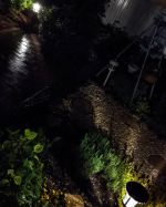 スーパームーン翌日から札幌はウソのように悪天候😅ですが、雨のお庭もライトアップすると良い雰囲気になりますね〜。ただし、寒い😅💦それにしてもですね、暇すぎて時間はたっぷりあるのにどうして夕飯作る&hellip;のInstagram画像