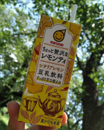 今更ながら&hellip;出産前にモニター当選して頂いた新作の豆乳飲料💓😋宮川の桜が散った後に新緑のトンネルを散歩しながらリフレッシュ💓豆乳感はあまりなくてレモンティ感強い！&hellip;のInstagram画像